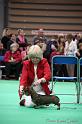 Crufts2011_2 1435